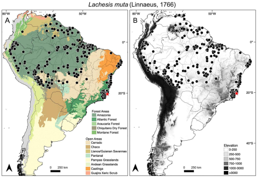 Atlas of Brazilian Snakes: Verified Point-Locality Maps to