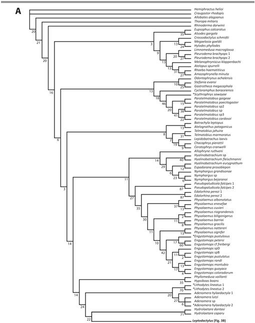 30+ Examples of an Exclusionary Synonym