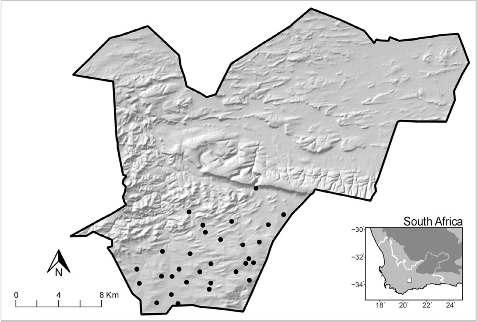 Using Camera-Trapping to Estimate Riverine Rabbit, Bunolagus ...