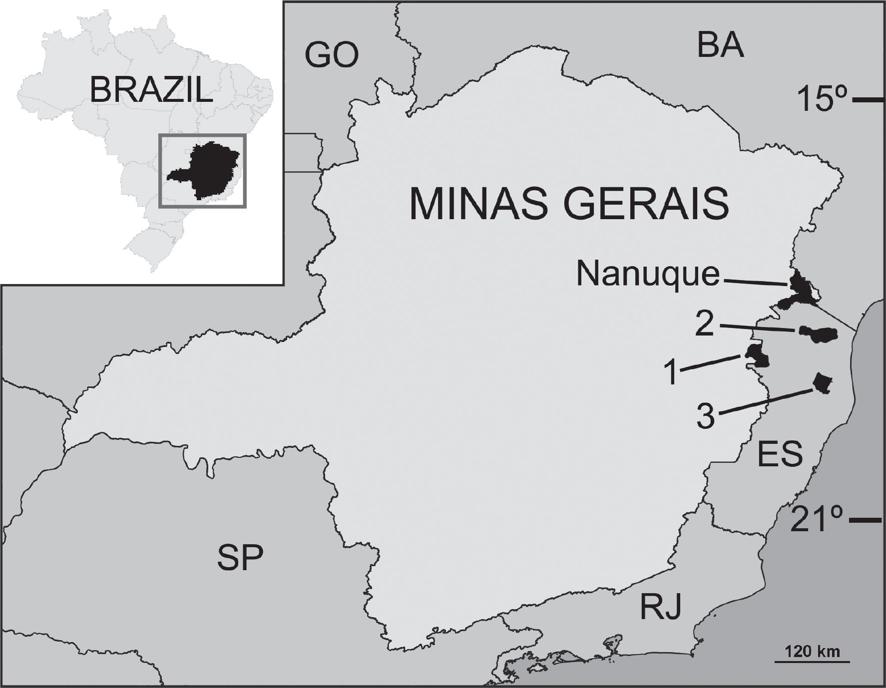 Taxonomical Study On A Sample Of Land Snails From Nanuque Minas Gerais Brazil With Descriptions Of Three New Species