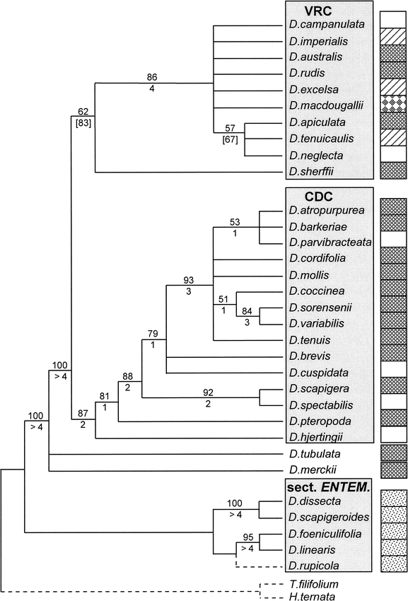 A Phylogenetic Analysis of the Genus Dahlia (Asteraceae) Based on ...