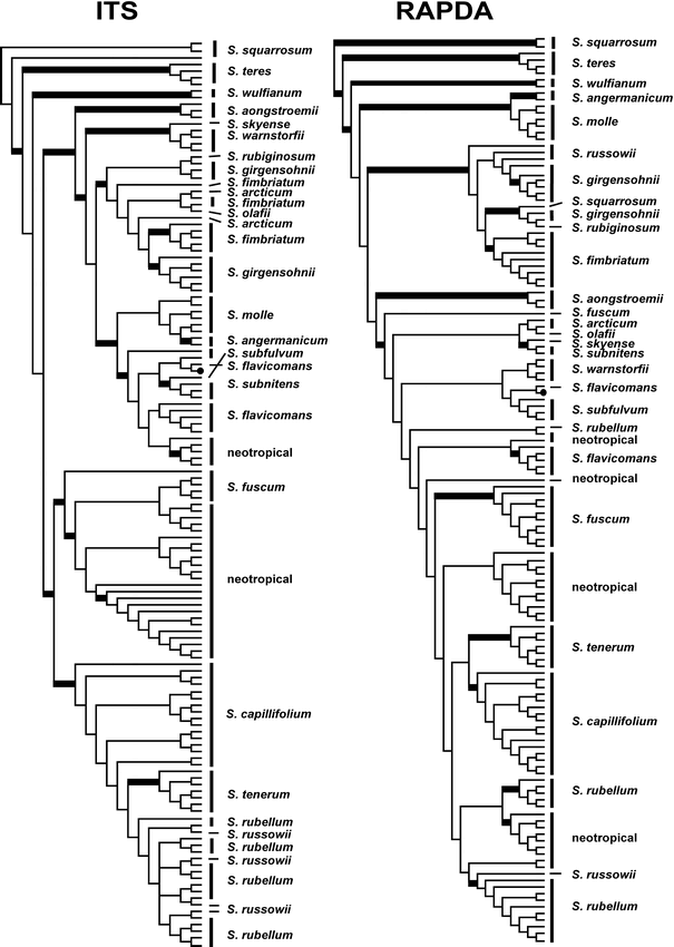 Phylogeny, Species Delimitation, and Recombination in Sphagnum Section ...