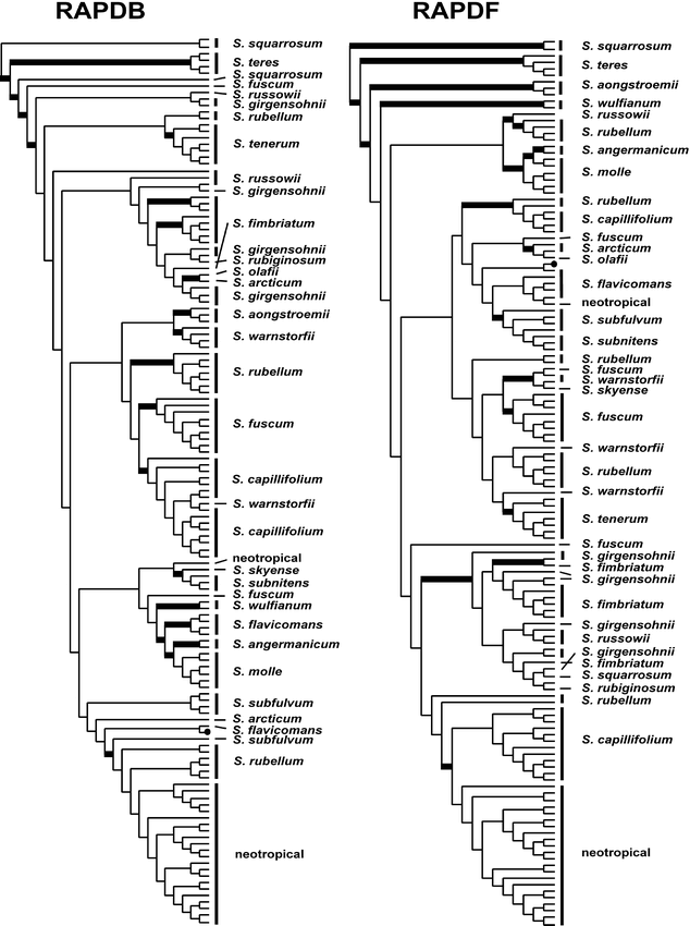 Phylogeny, Species Delimitation, and Recombination in Sphagnum Section ...