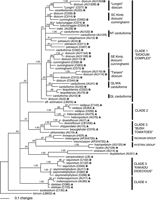 Phylogenetic Relationships of Andromonoecious and Dioecious Australian ...