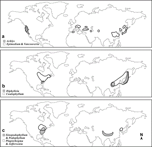 Phylogenetic and Biogeographic Diversification of Berberidaceae in 