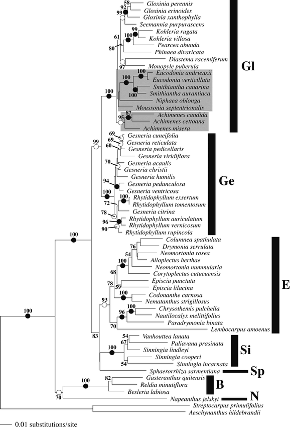 Untangling Gloxinieae Gesneriaceae Ii Reconstructing Biogeographic Patterns And Estimating Divergence Times Among New World Continental And Island Lineages