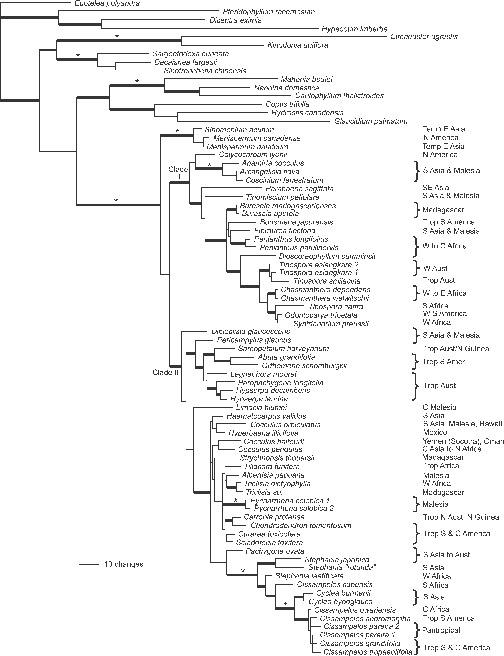 Phylogenetic Patterns In Menispermaceae Based On Multiple Chloroplast Sequence Data