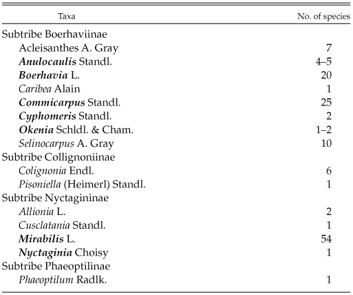 Cladistic Analysis and Taxonomic Synopsis of Anulocaulis (Nyctaginaceae)  Based on Morphological Data