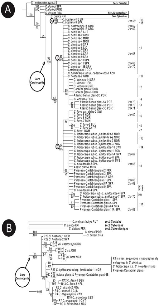 Systematics And Taxonomy Of Carex Sect Ceratocystis Cyperaceae In Europe A Molecular And Cytogenetic Approach