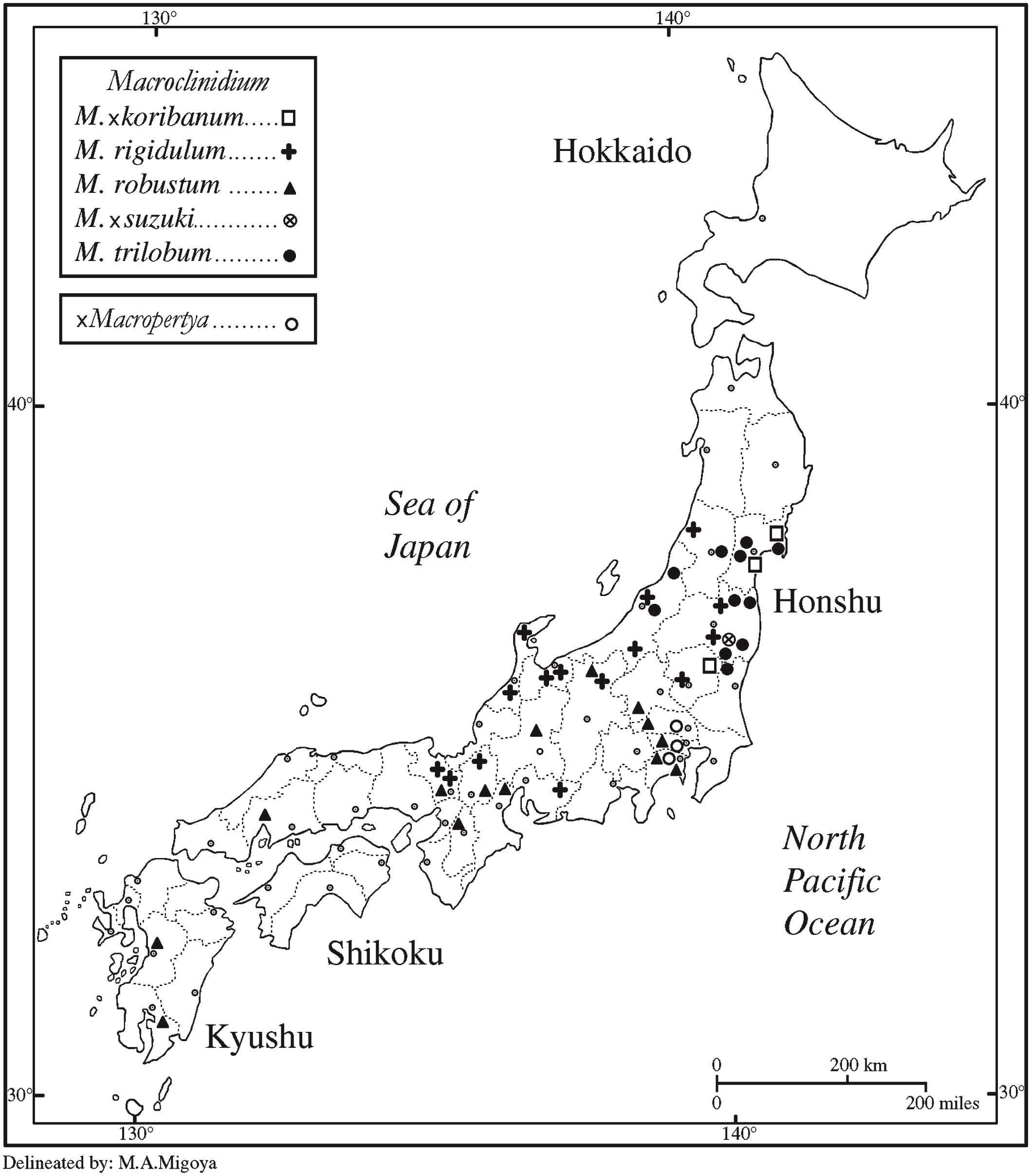 Systematics of the Japanese Macroclinidium and ×Macropertya (Asteraceae ...