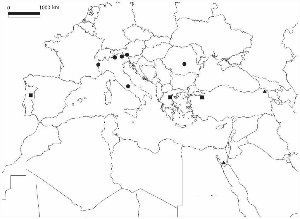 Taxonomic Revision Of Brachytheciastrum Brachytheciaceae Bryophyta From The Mediterranean Region