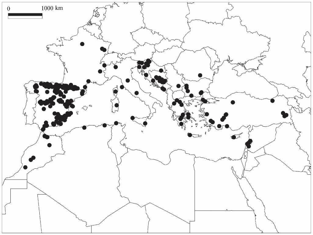 Taxonomic Revision of Brachytheciastrum (Brachytheciaceae, Bryophyta ...