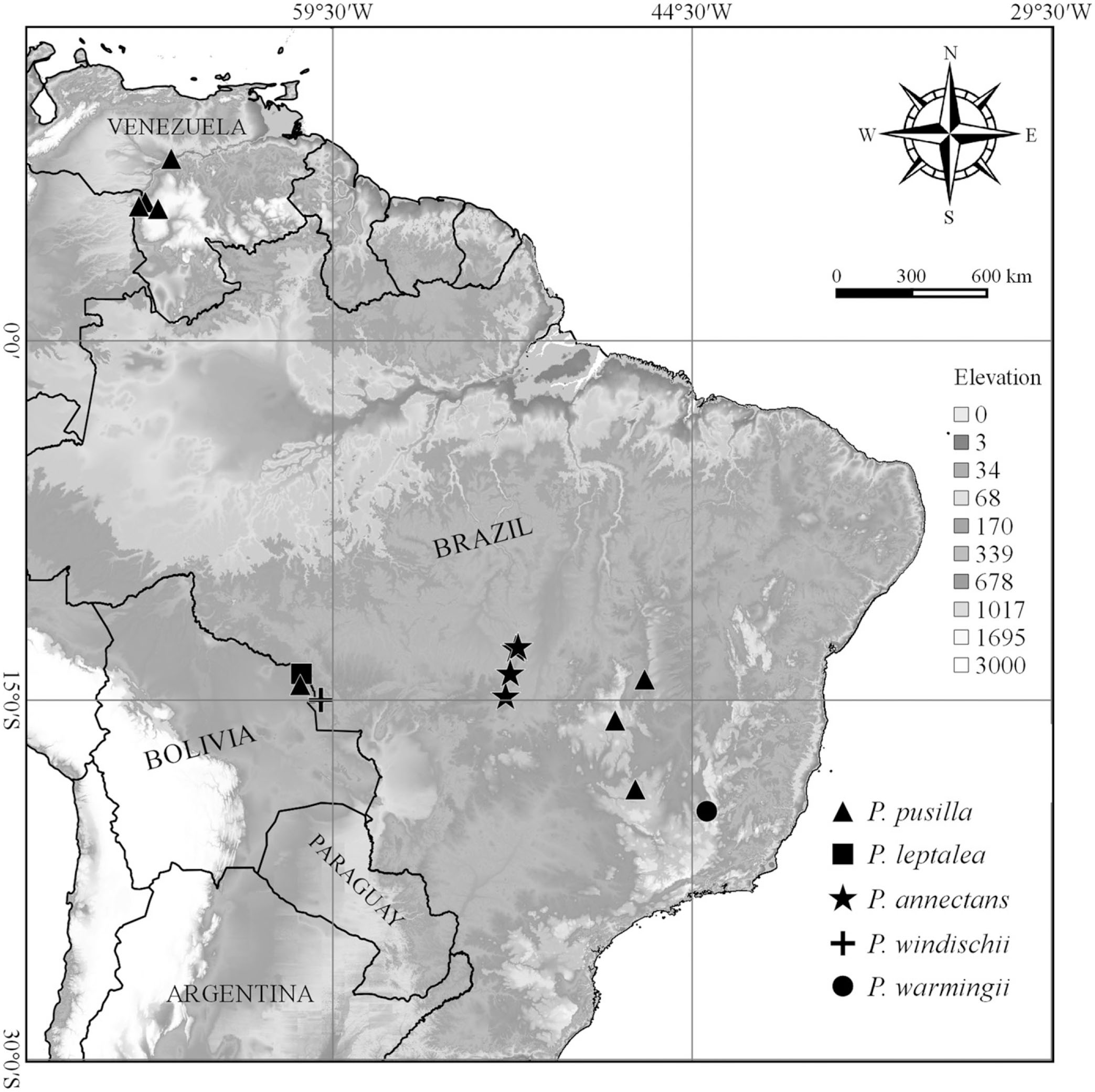 Neotropical Poteranthera (Melastomataceae: Microlicieae) Revisited