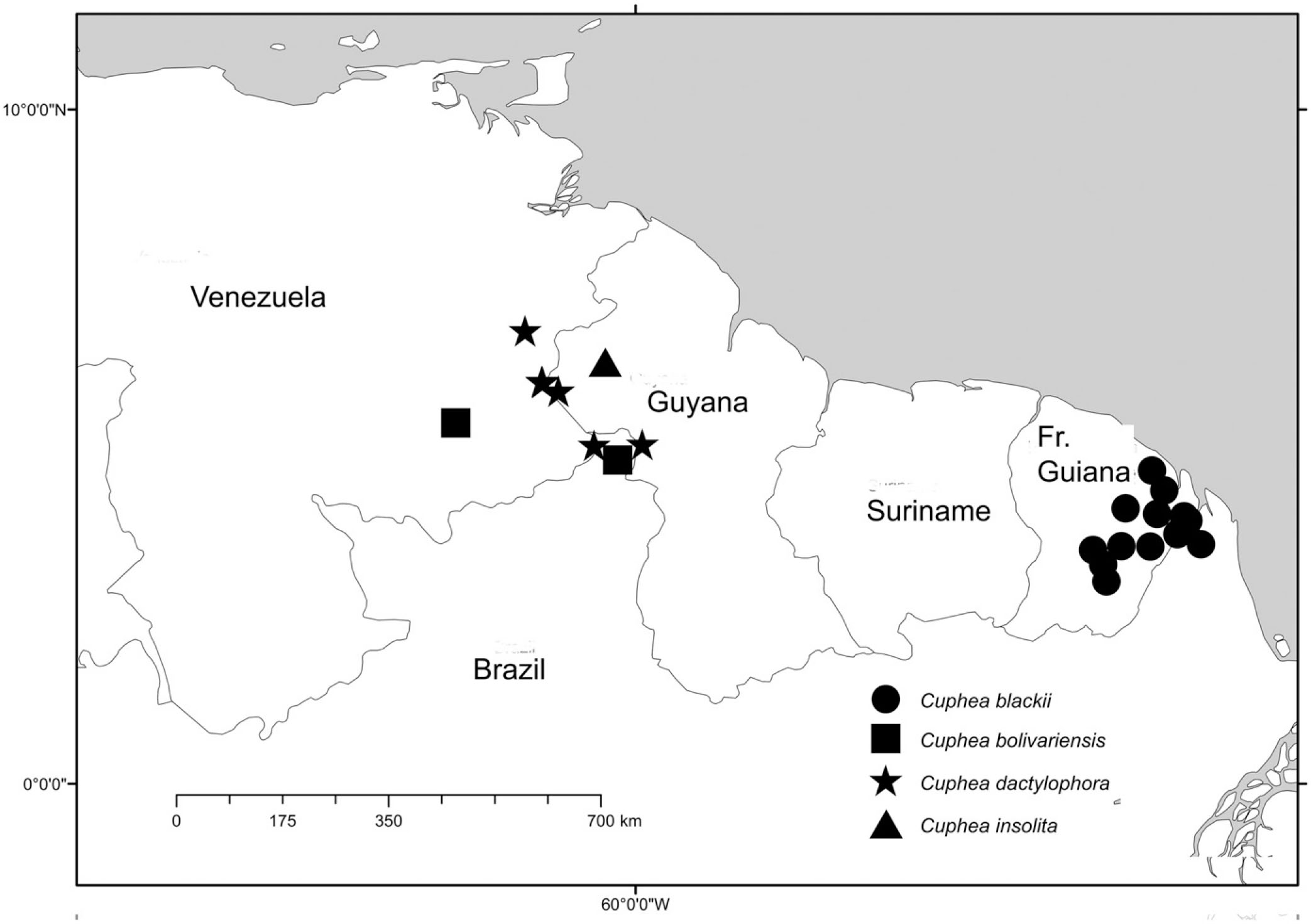 A Revision Of Cuphea Section Amazoniana S S Lythraceae