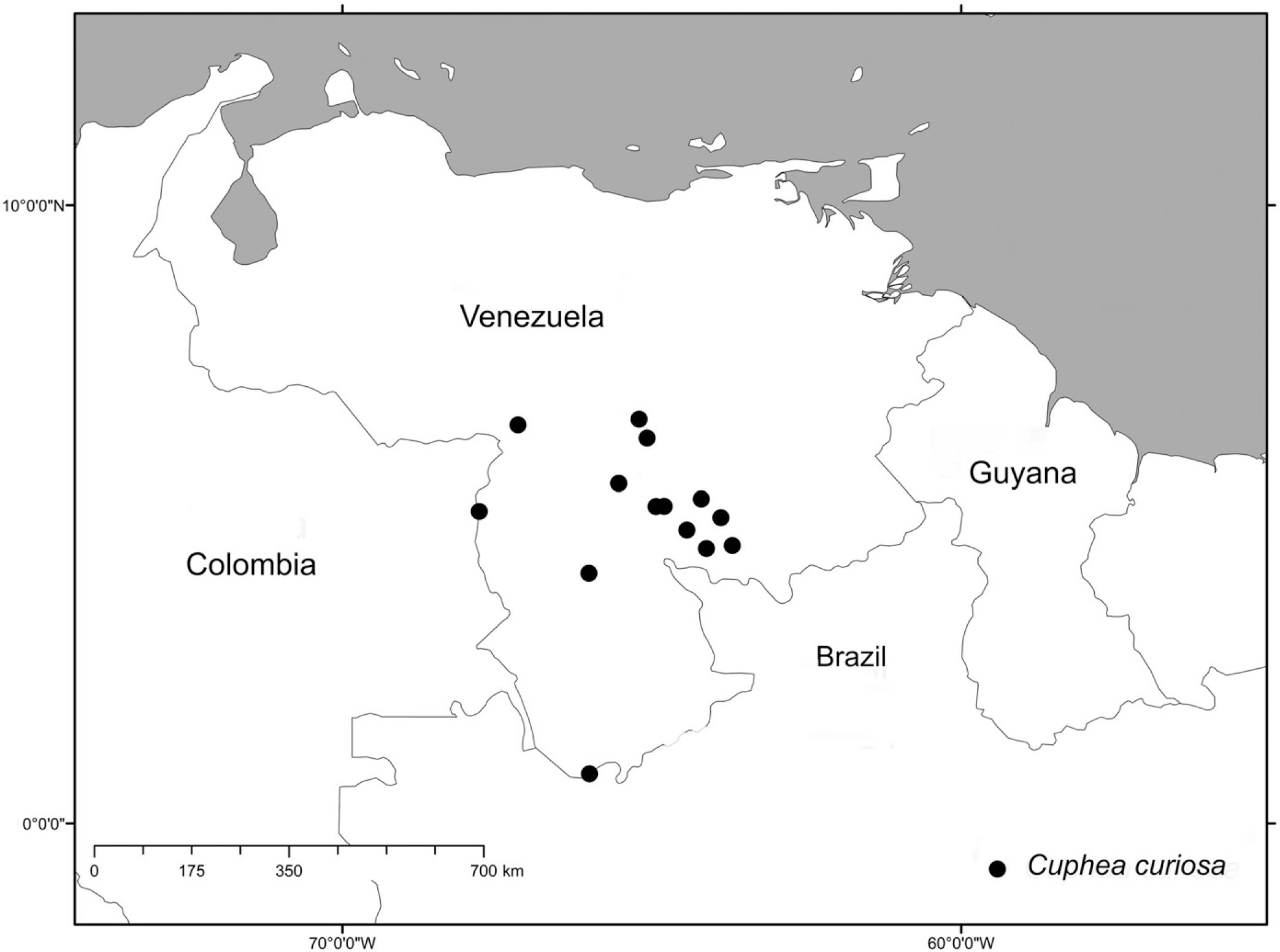 A Revision Of Cuphea Section Amazoniana S S Lythraceae