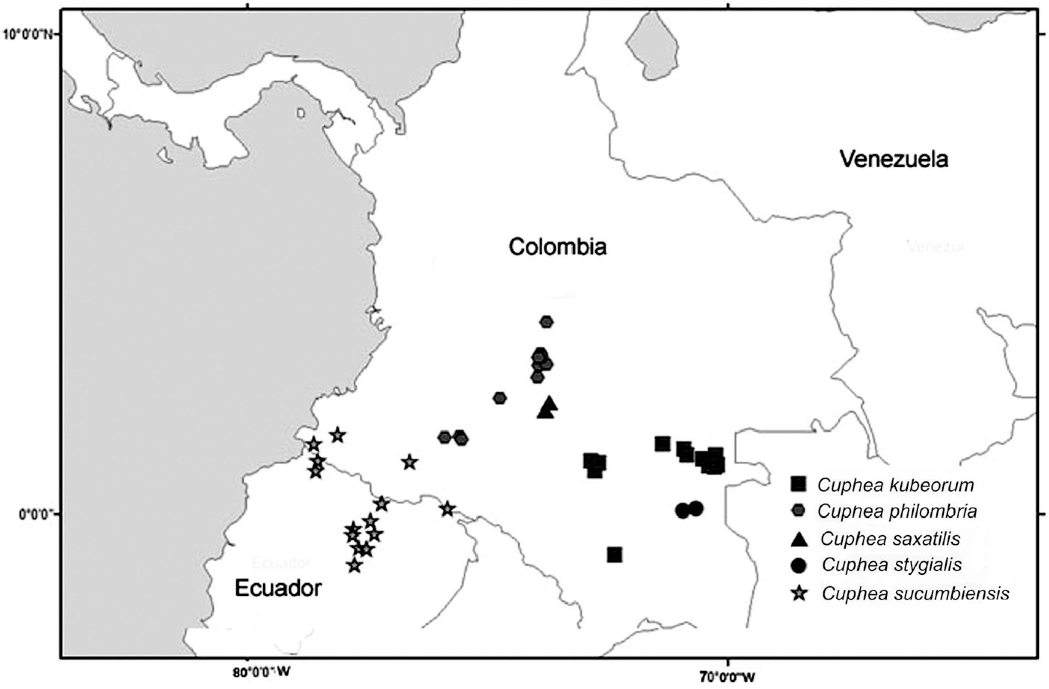 A Revision Of Cuphea Section Amazoniana S S Lythraceae