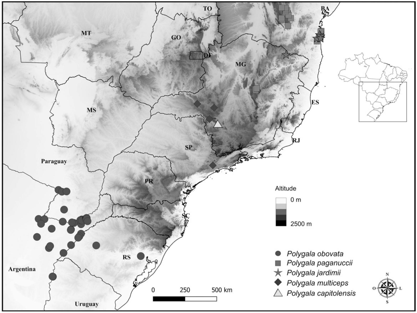 Disentangling Polygala obovata Complex (Polygalaceae), with a ...