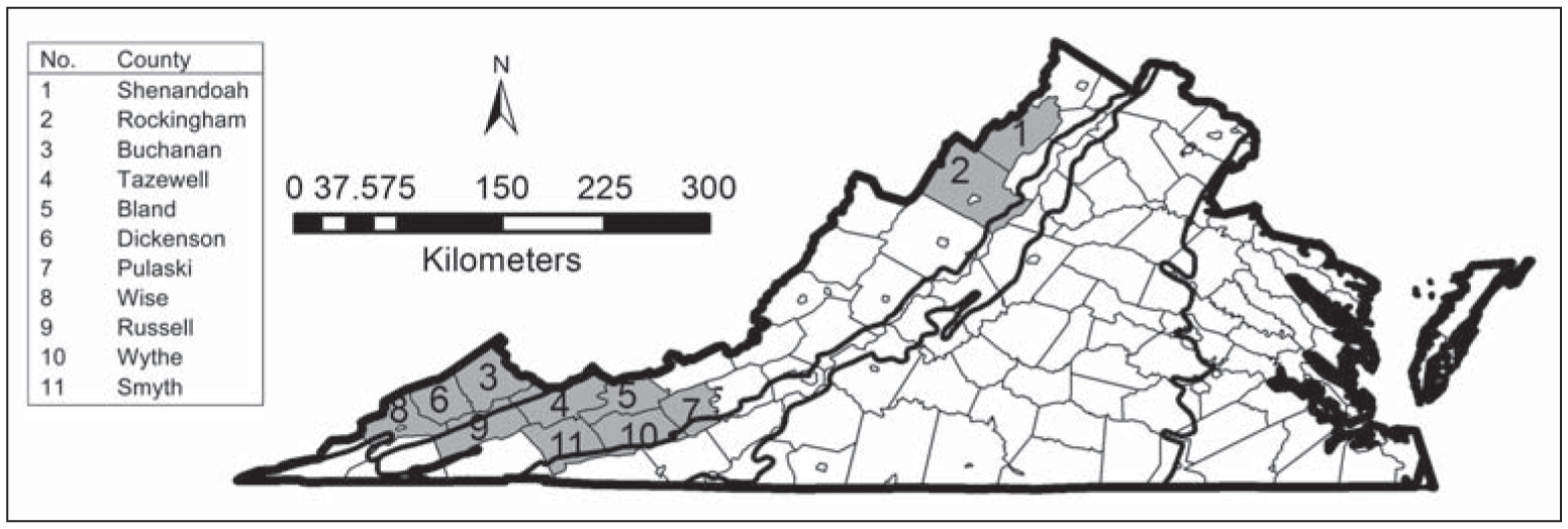 Bats Of The Cumberland Plateau And Ridge And Valley Provinces Virginia   F01 515 