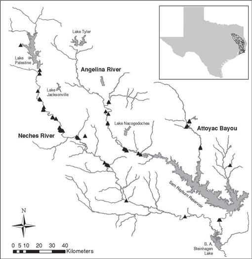 Mussel Assemblages in Streams of Different Sizes in the Neches River ...