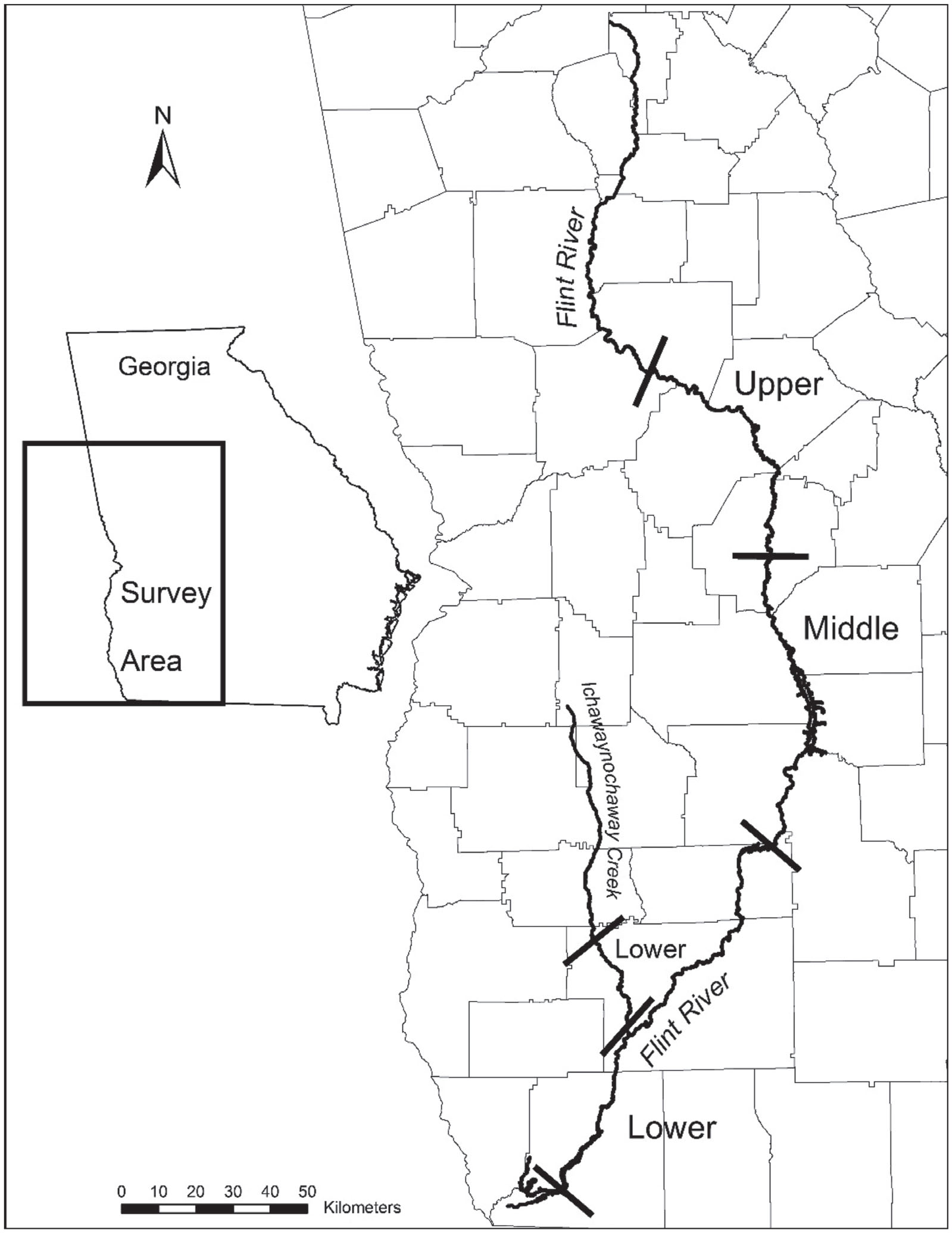 The Status Of Macrochelys Temminckii Alligator Snapping Turtle In The Flint River Ga 22 Years After The Close Of Commercial Harvest