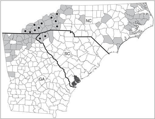 New Record of Northern Long-eared Bats in Coastal South Carolina