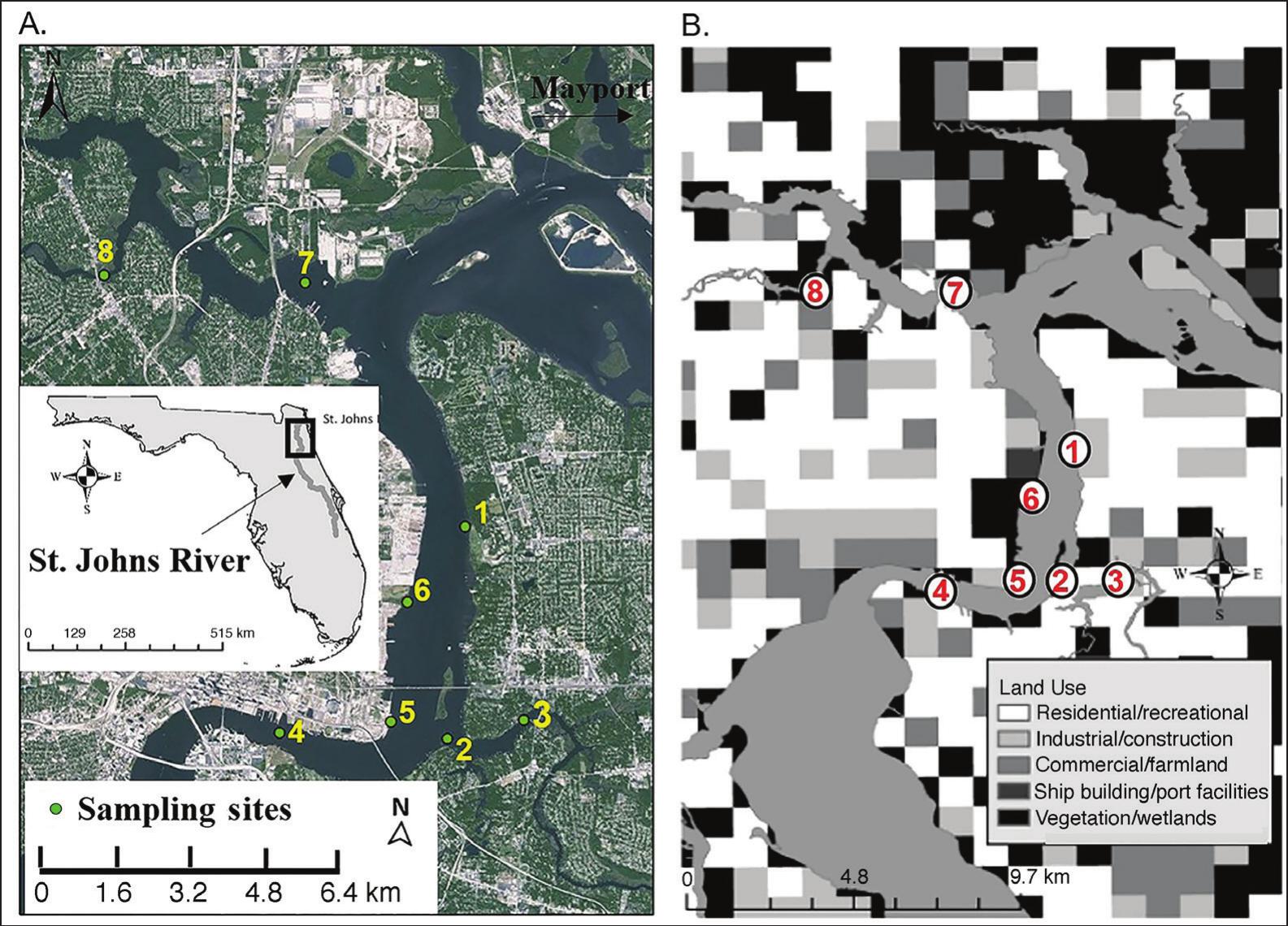 Spatial And Temporal Water Quality Assessment In The Lower St Johns River Florida