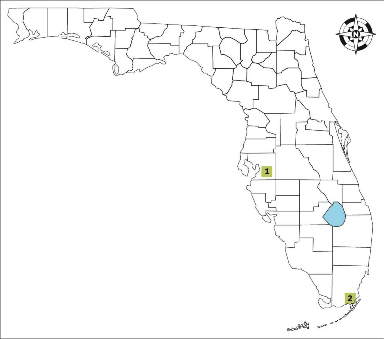 Tegu Lizard trap in the Florida Everglades baited with chicken eggs