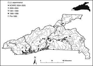 Cambarus robustus (Big water crayfish) - Michigan Natural Features Inventory