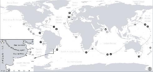 Population Structure Growth And Production Of The Wedge Clam Donax Hanleyanus Bivalvia Donacidae From Northern Argentinean Beaches