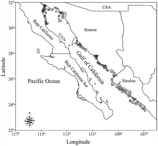 Reproductive Indicators and Gonad Development of the Panama Brief Squid ...