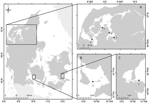 Growth And Respiration In Blue Mussels Mytilus Spp From Different Salinity Regimes