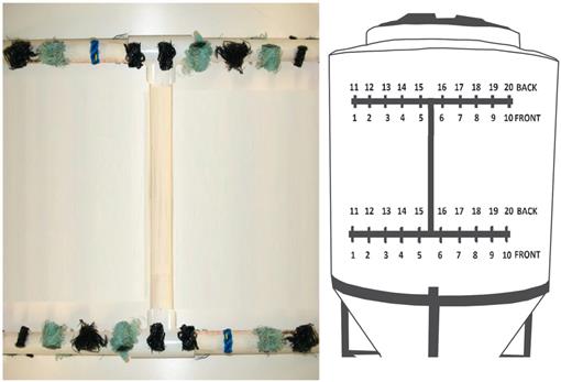 Settlement Response To Various Rope Substrates In Blue Mussels Mytilus Edulis Linnaeus In A Hatchery Setting