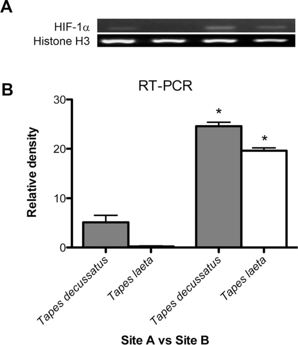 Influences Of Environmental Variables On Neurotransmission Oxidative System And Hypoxia Signaling On Two Clam Species From A Mediterranean Coastal Lagoon - alert system with plugins api 130227 roblox