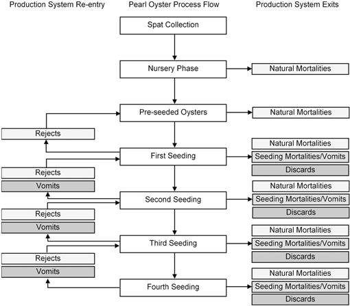 Economic Modeling of Round Pearl Culture in Fiji and Assessment of