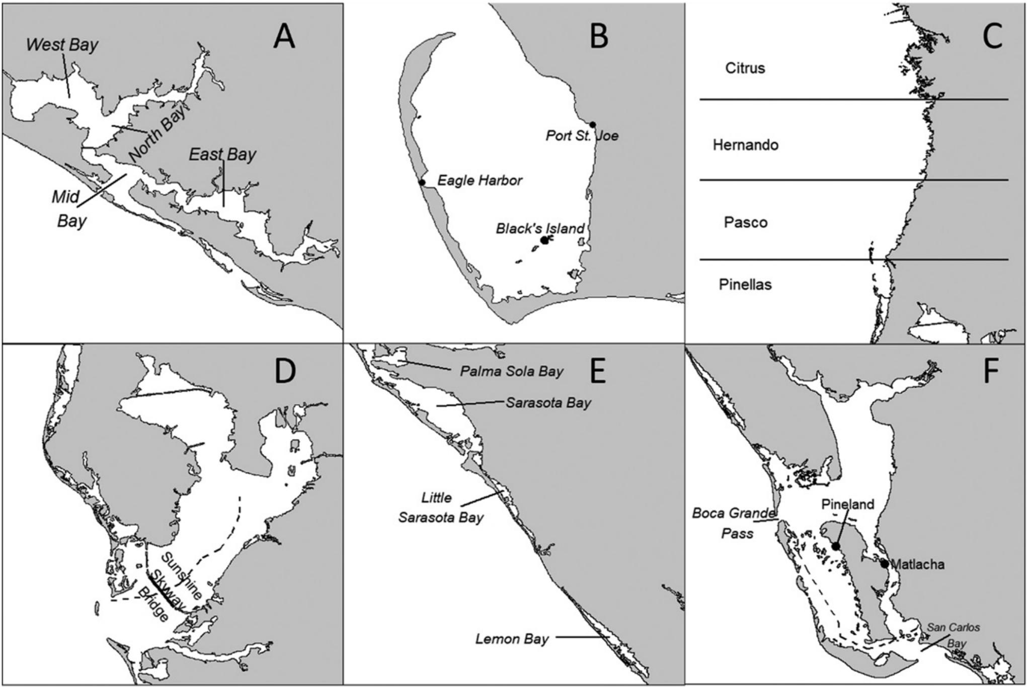 Pine Island Sound and Matlacha Inshore Fishing Chart 25F