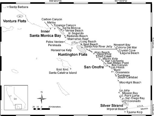 Spawning Related Movements Of Barred Sand Bass Paralabrax