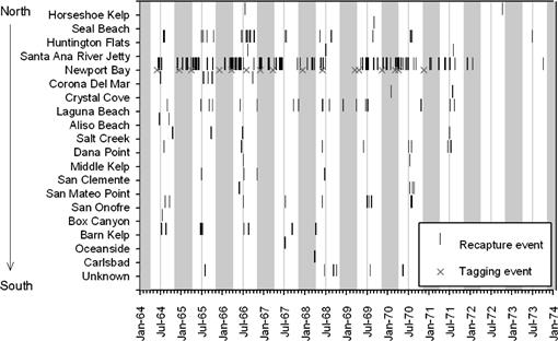 Spawning Related Movements Of Barred Sand Bass Paralabrax