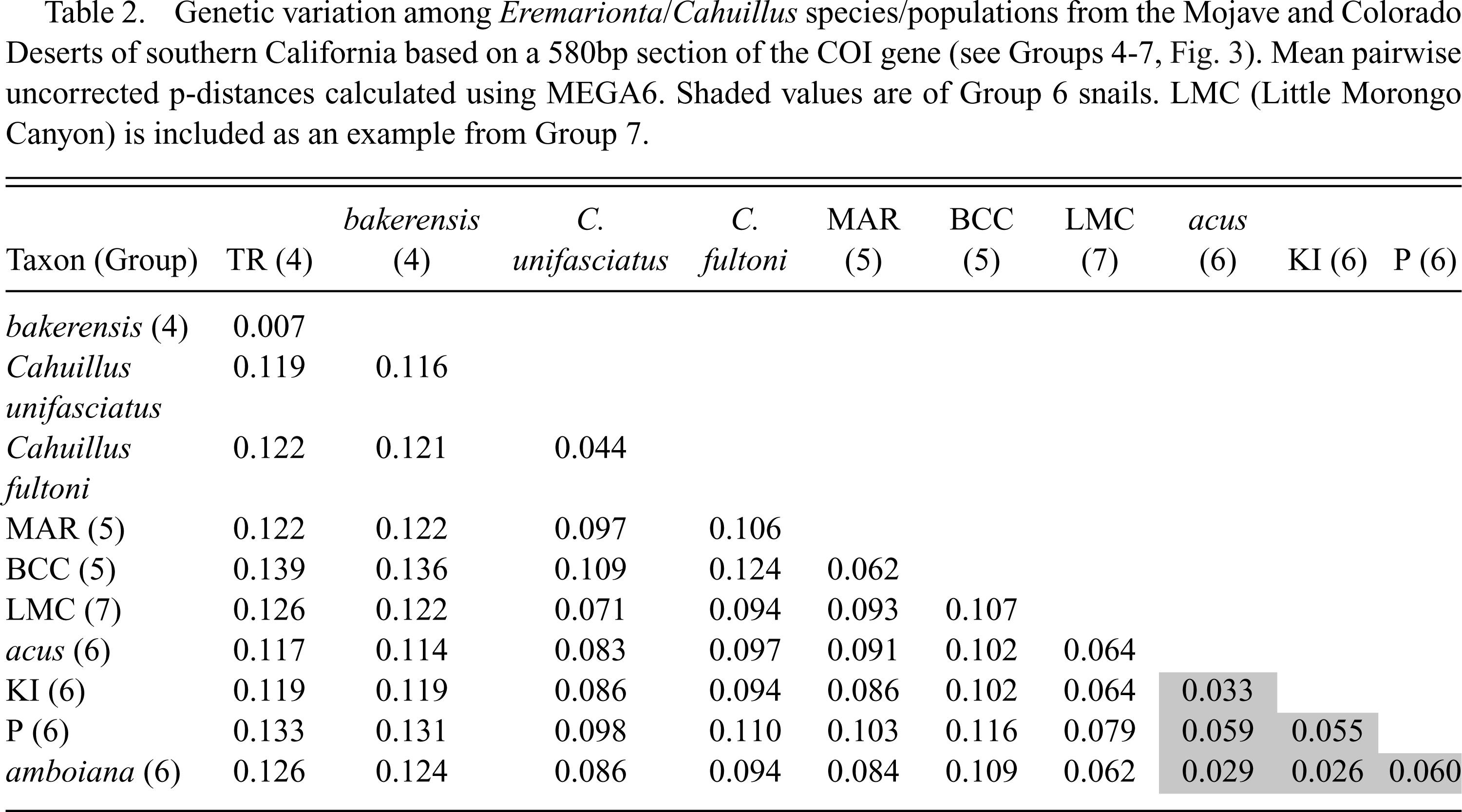 A Contribution To The Phylogeography And Anatomy Of