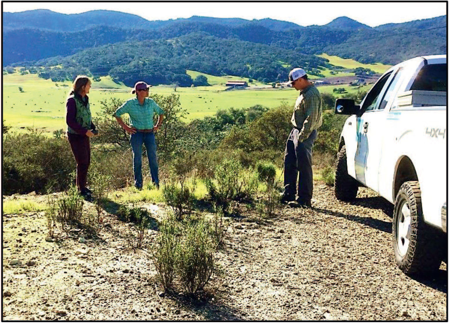 Status Of The Endangered Indian Knob Mountainbalm - 