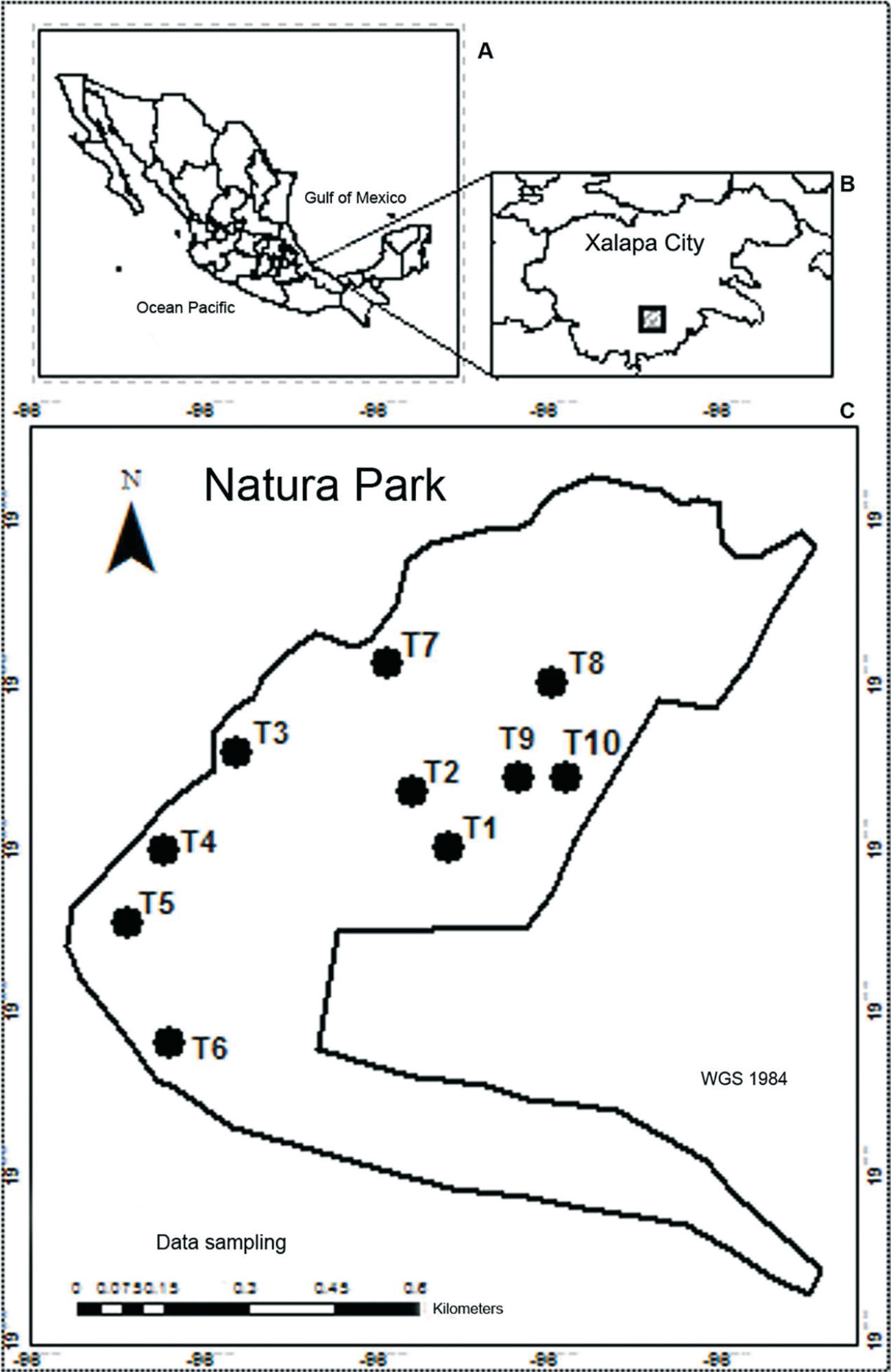 Species Richness of Butterflies (Papilionoidea) at Natura Park, Xalapa,  Veracruz, Mexico