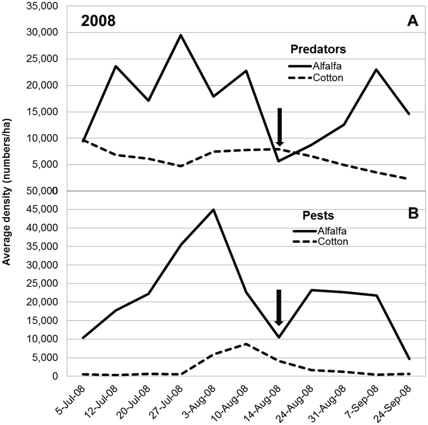 Arthropod Abundance And Community Structure In Adjacent Cotton And Alfalfa On The Texas High Plains