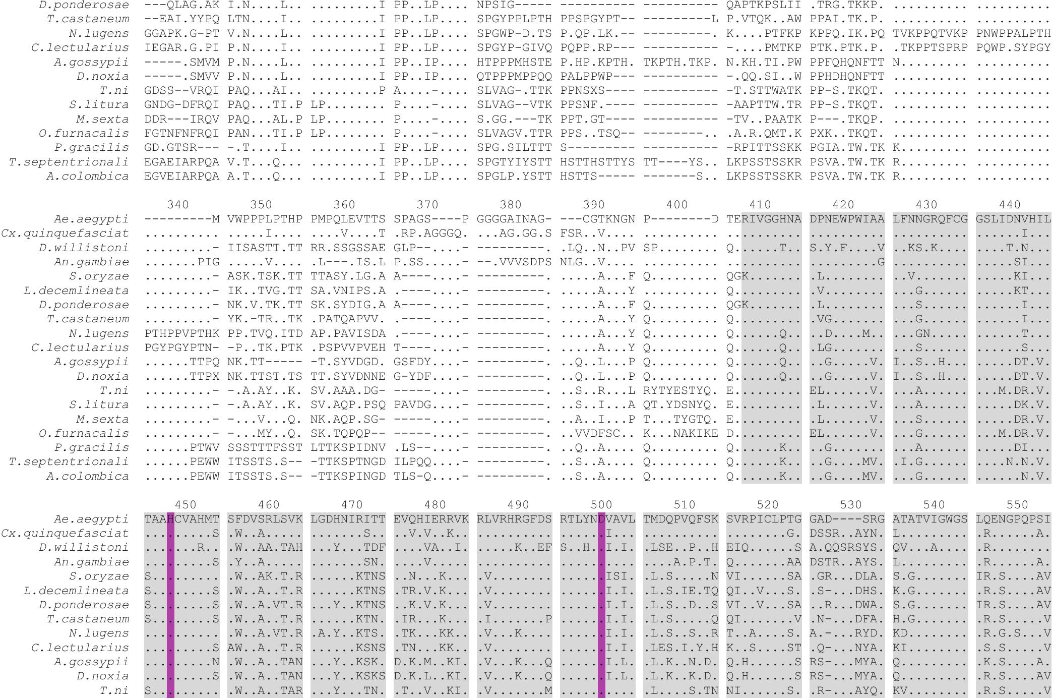 Molecular Description Of Proclotting Enzyme A Power Tool For Insect Biological Control Of Aedes Aegypti L 1