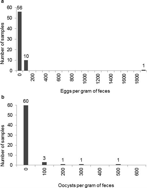 Captive White-Tailed Deer Fawn Mortality Secondary to Strongyloides sp.  infection in New York State