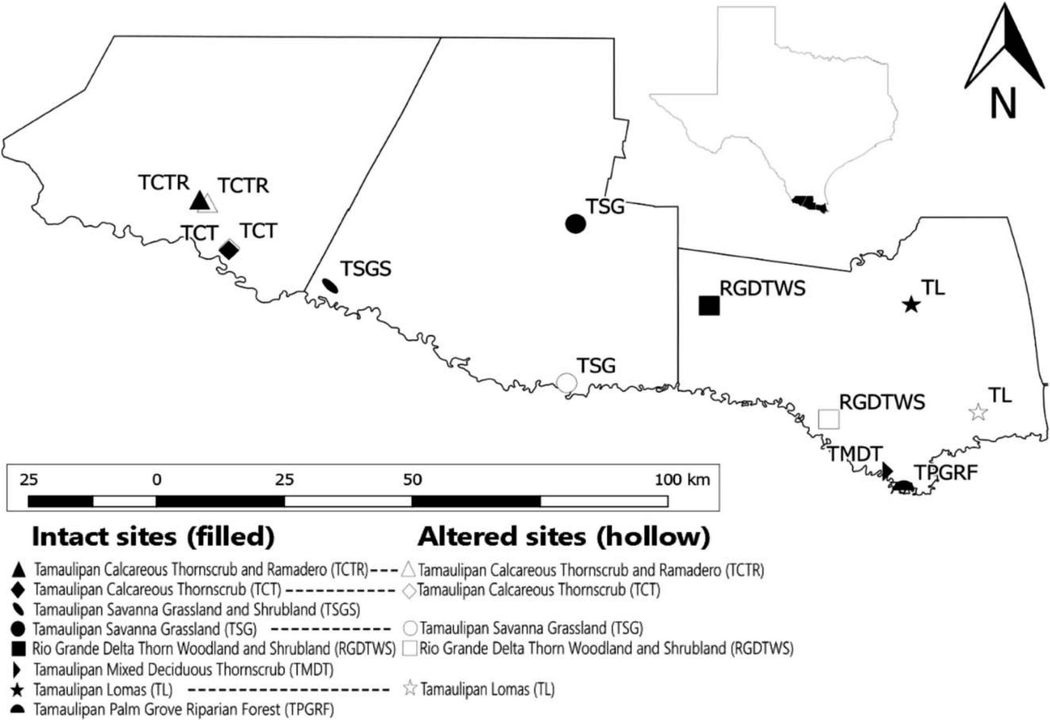 Terrestrial Snail Communities Of The Lower Rio Grande Valley Are Affected By Human Disturbance And Correlate With Vegetation Community Composition