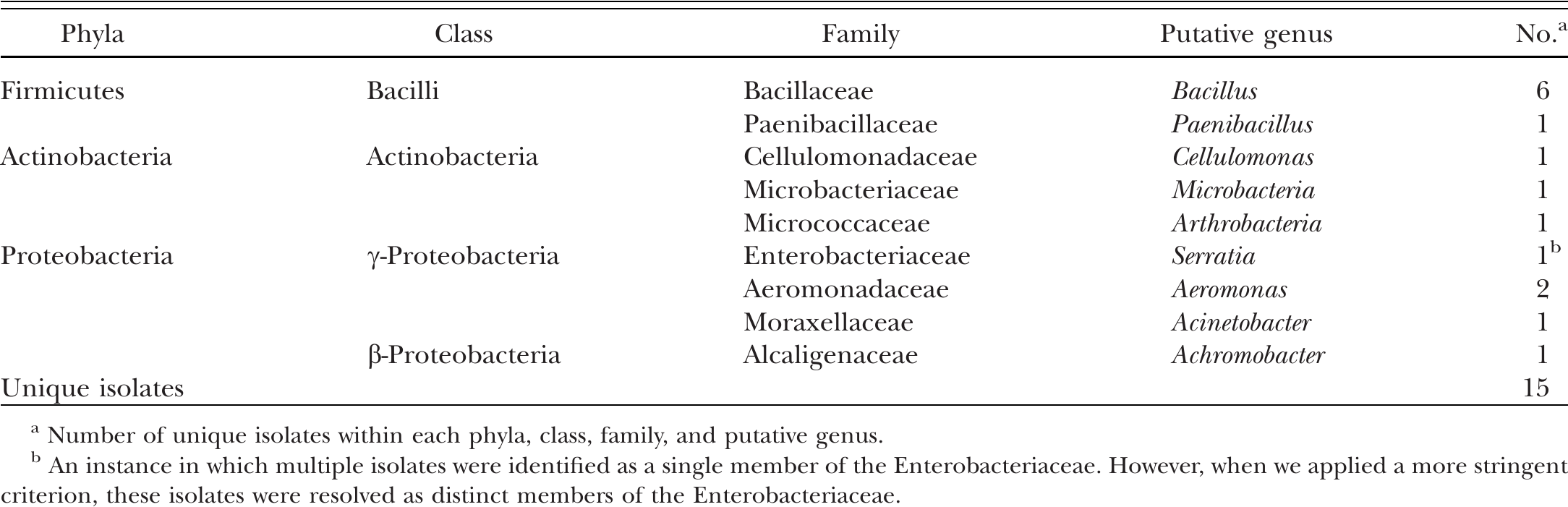 PRELIMINARY EXAMINATION OF THE EXOSKELETAL MICROBIOTA OF ARMADILLIDIUM  VULGARE (THE COMMON PILL BUG)