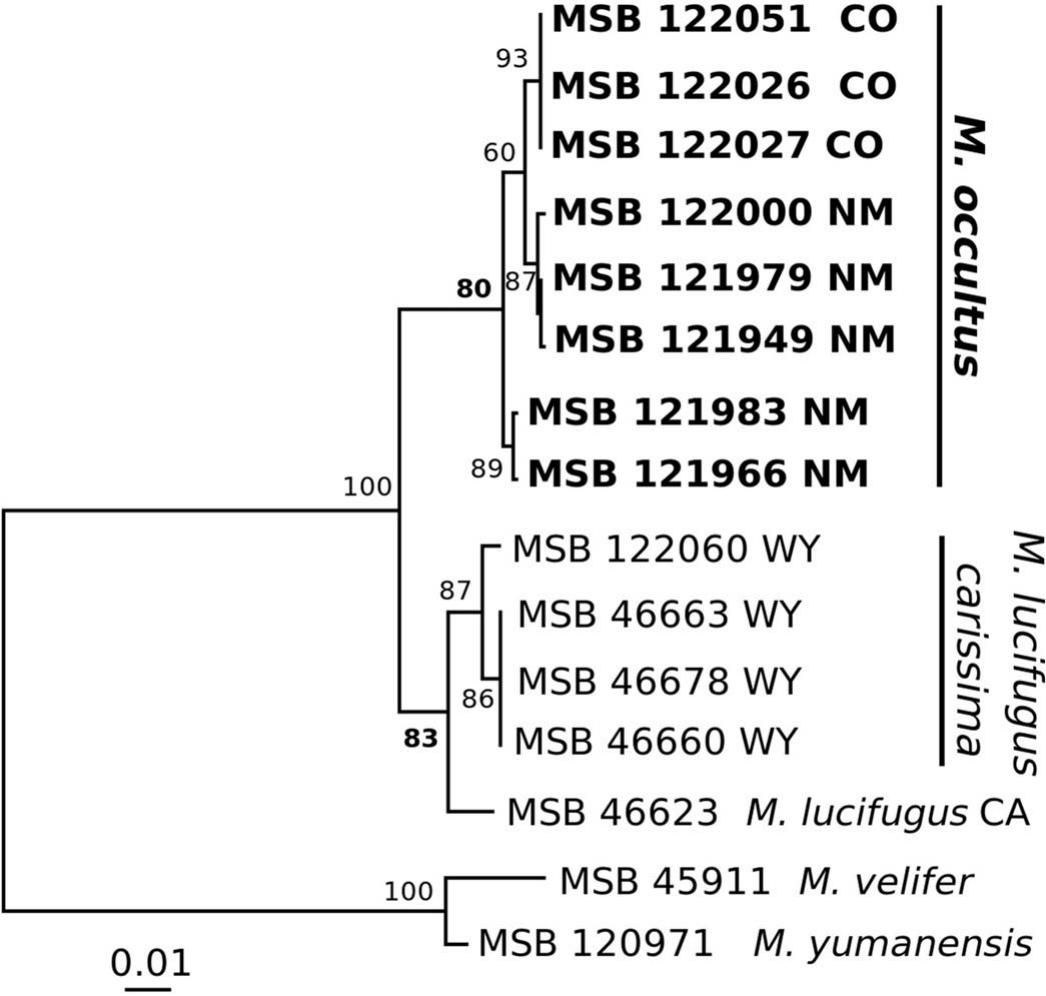 ANALYSIS OF MITOCHONDRIAL DNA SEQUENCE DATA DEMONSTRATES THAT MONOPHYLY ...