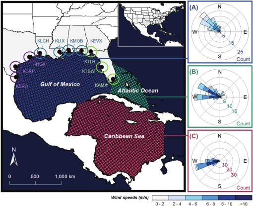 Count by 5 Turtle Migration Sensory Path Element - The Sensory Path