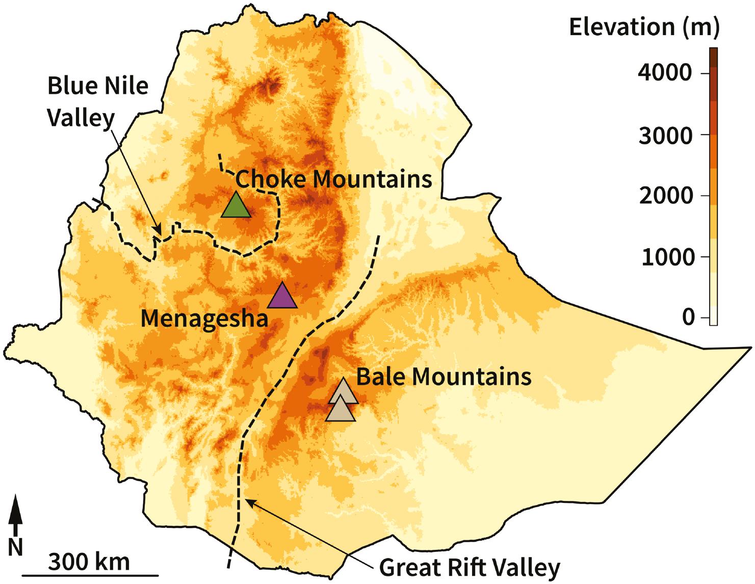 The Great Rift Valley is a more pronounced biogeographic barrier than ...