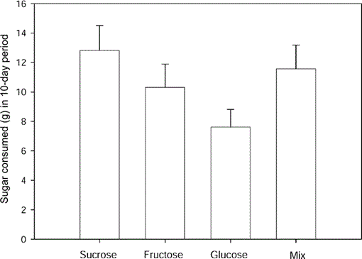 Sugar Preferences Of The Green Backed Firecrown Hummingbird