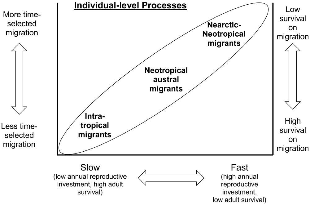 Multi-temporal ecological niche modeling for bird conservation in the face  of climate change scenarios in Caatinga, Brazil [PeerJ]